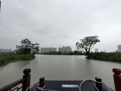 -三垟湿地