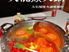 -大龙燚·旷野鲜火锅(广州首店)