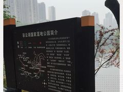 -重庆彩云湖湿地公园