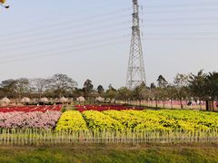 -盈香心动乐园