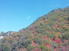 -少华山国家森林公园