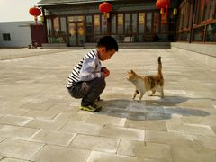 -甜心庄园·甜心草莓采摘园(西青中北店)