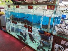 水产区-鲜椒鱼·雅安地标性美食