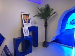 -Blue Concept Cafe&Farm·關於藍