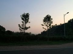 android_upload_pic-火炉山森林公园