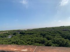 -北海金海湾红树林生态旅游区