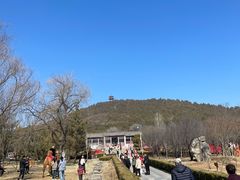 -浮来山风景区