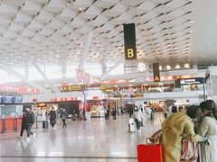 -郑州新郑国际机场