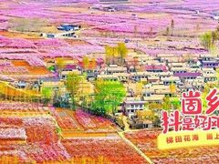 -岱崮地貌旅游区
