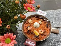 -Apollo·西班牙小酒馆(安福路店)