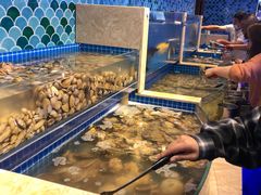 水产区-乔哥铭洋海鲜自助(皇城恒隆广场店)