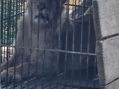 -观澜湖生态运动公社