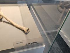 -中国（海南）南海博物馆