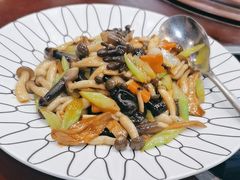 蚝油炒双菌-聚春园自助餐厅(东街口店)
