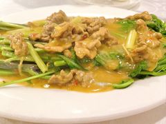 芥兰沙茶牛肉-廣味潮鲜·一品潮滋味(五道口店)