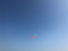 -巨鹏飞梦幻海岸