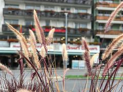 -Coop Supermarkt Grindelwald