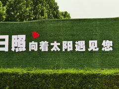 -日照海滨国家森林公园