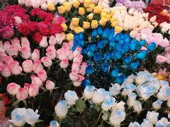 -越秀西湖花市(广州城市广场花卉店)