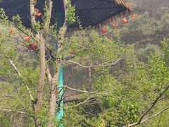 -沈阳森林动物园