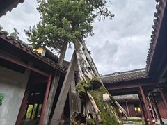 -太平天国侍王府