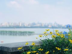 -杭州西湖风景名胜区-北街寻梦