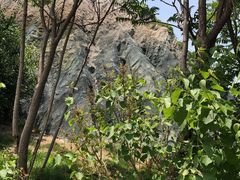 -武清南湖绿博园