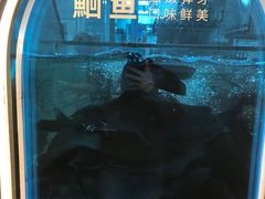 -鱼酷活鱼烤鱼(沈阳大悦城店)