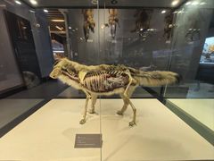 -青藏高原自然博物馆
