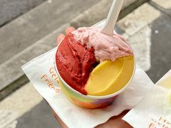 -Dip in Gelato(富民路店)