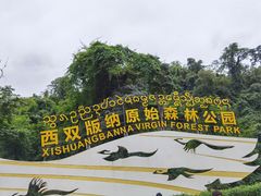 -西双版纳原始森林公园
