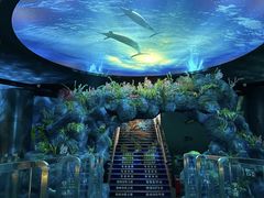 -陕西自然博物馆