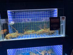 水产区-徐记海鲜(汉城湖|太奥店)
