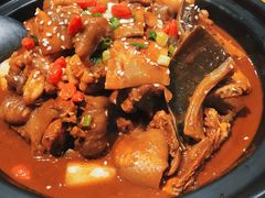 甲鱼牛蛙锅-洪湘记川湘·甲鱼馆(四海凯悦美食广场店)