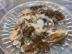 小八带-鑫龙火锅城(青岛分店)