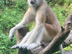 -宁波野生动物园