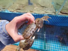 -蓝珊甄选海鲜自助·火锅大排档(近阿那亚店)