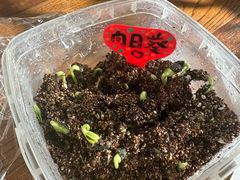 -北京同仁堂施小墨中医馆(建外SOHO店)