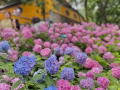 -惠山古镇·寄畅园