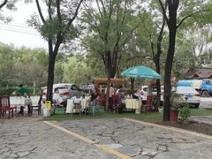 -秦扬居特色菜馆(上王村)