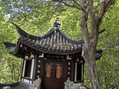 -上海佘山国家森林公园西佘山园