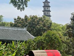 -江心屿景区