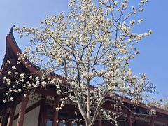 -堤角公园