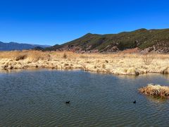 -泸沽湖国家级风景名胜区走婚桥