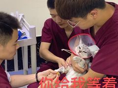 -美联众合爱康动物医院•复杂内科•肿瘤科•牙科•腔镜诊疗中心