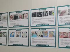 -东莞宠友24H宠物中心医院·转诊夜诊·异宠(新河北路院)