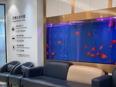 -牙博士口腔品牌连锁(杨浦店)