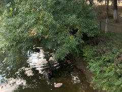 -长白岛森林公园