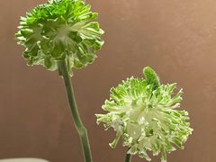 -沿途四季·云南菜·诗酒茶(蓝色港湾店)
