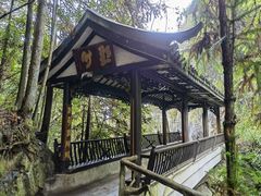 -遂昌金矿国家矿山公园
